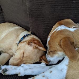 Meet your Posher, Tammy